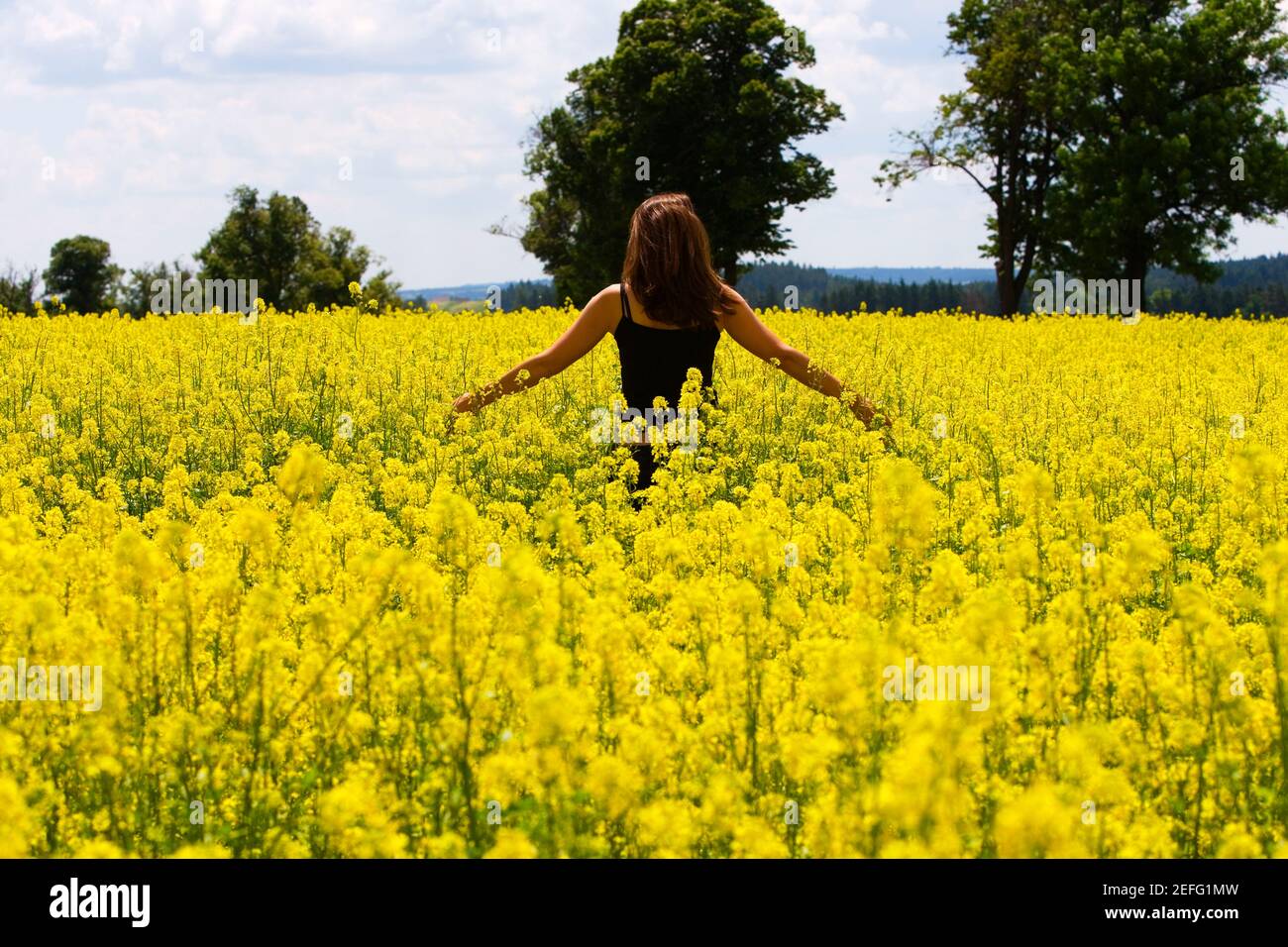 Woman standing in mustard field hi-res stock photography and images - Alamy