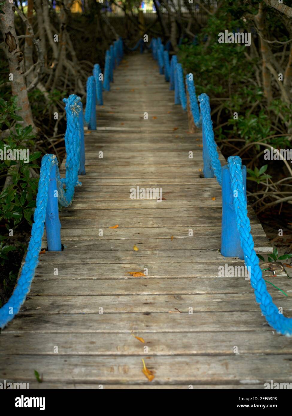 High angle view of a footbridge Stock Photo