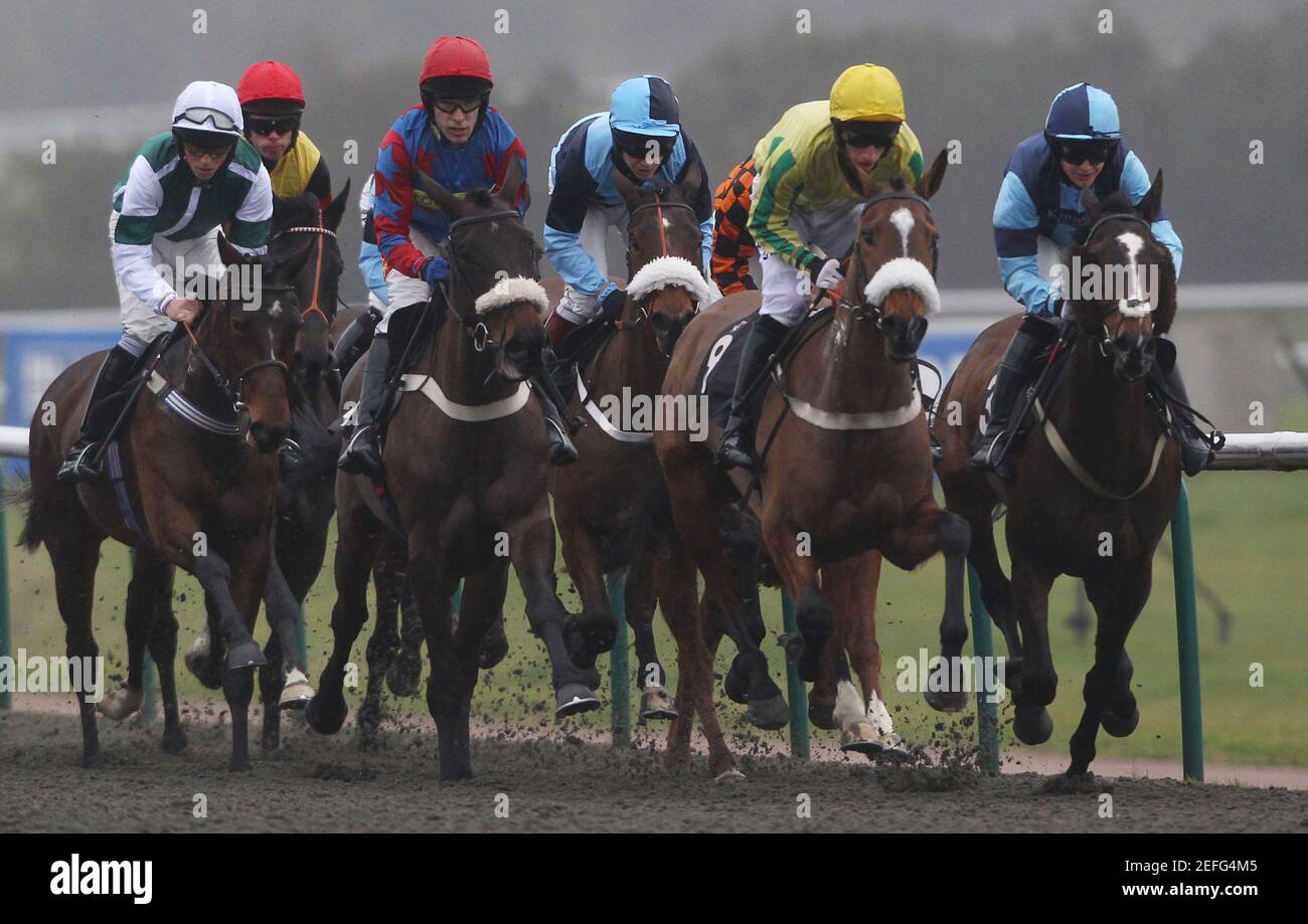 Warren Marston High Resolution Stock Photography And Images Alamy