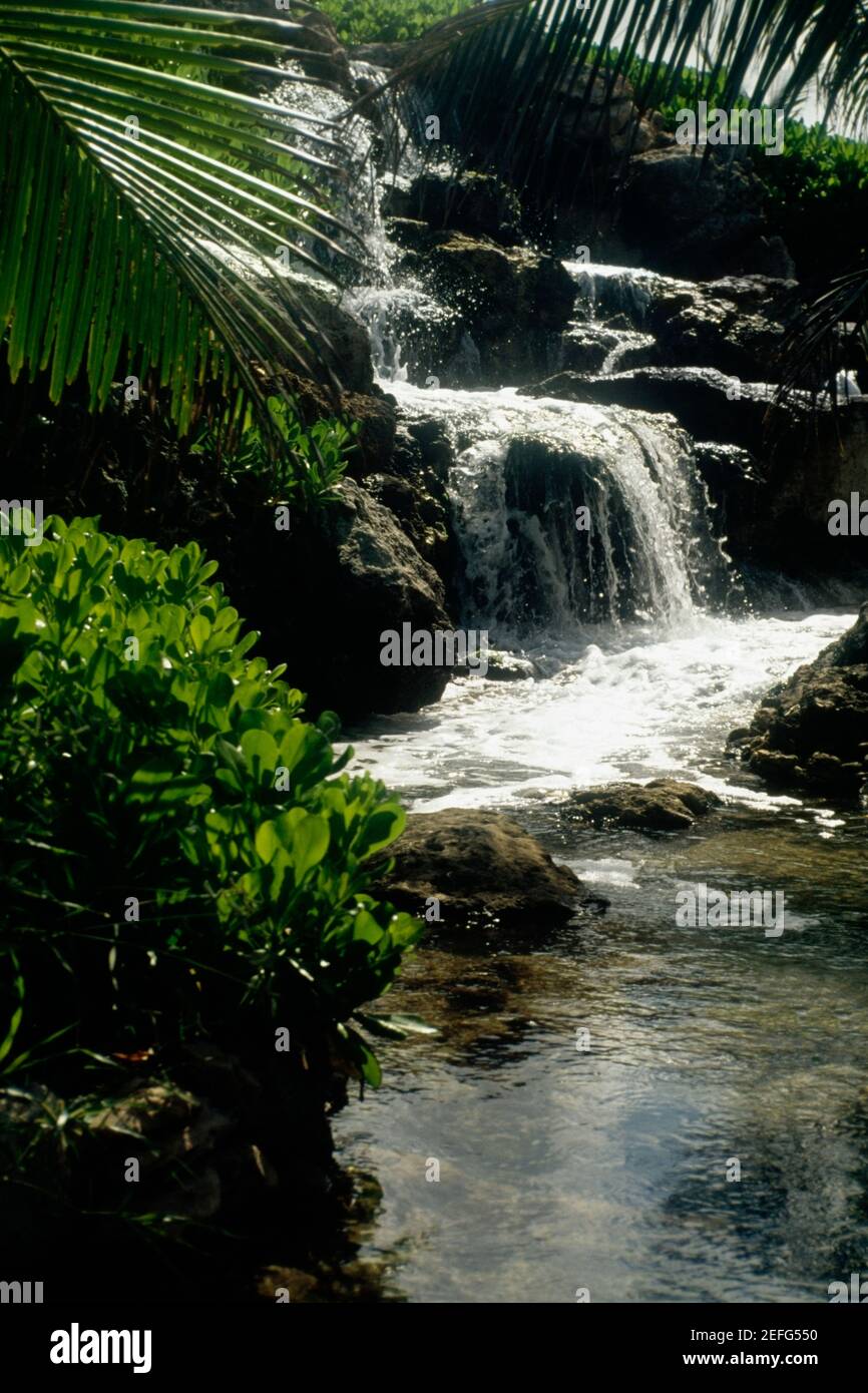 Coral world nassau hires stock photography and images Alamy