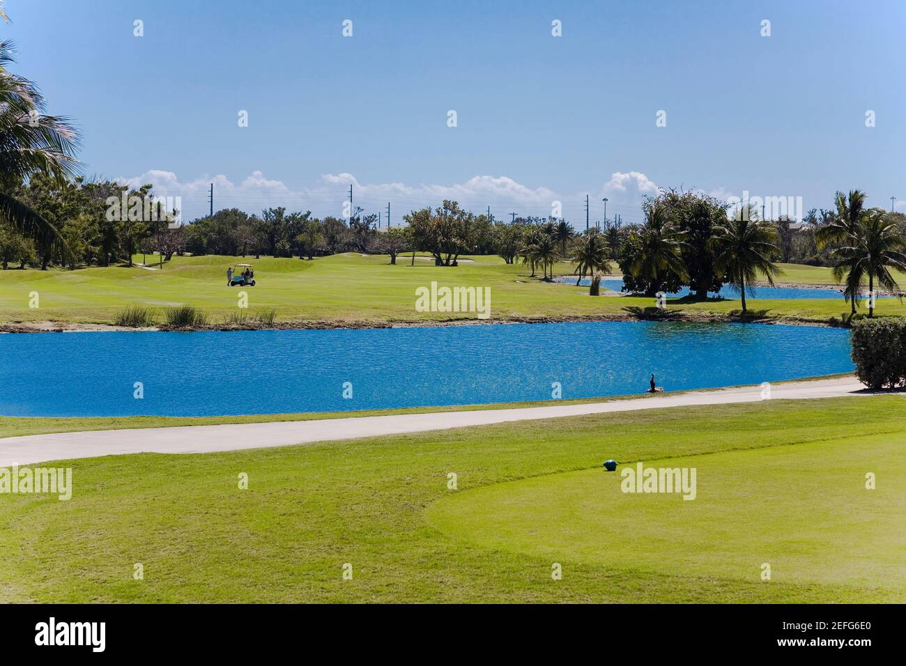 Lake in a golf course, Key West, Florida, USA Stock Photo - Alamy