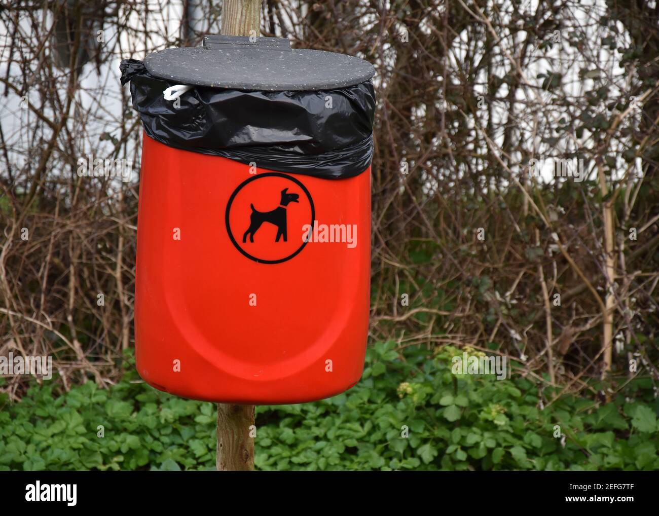 Dog Poo Bins, Dog Waste Collection points in North Devon Stock Photo