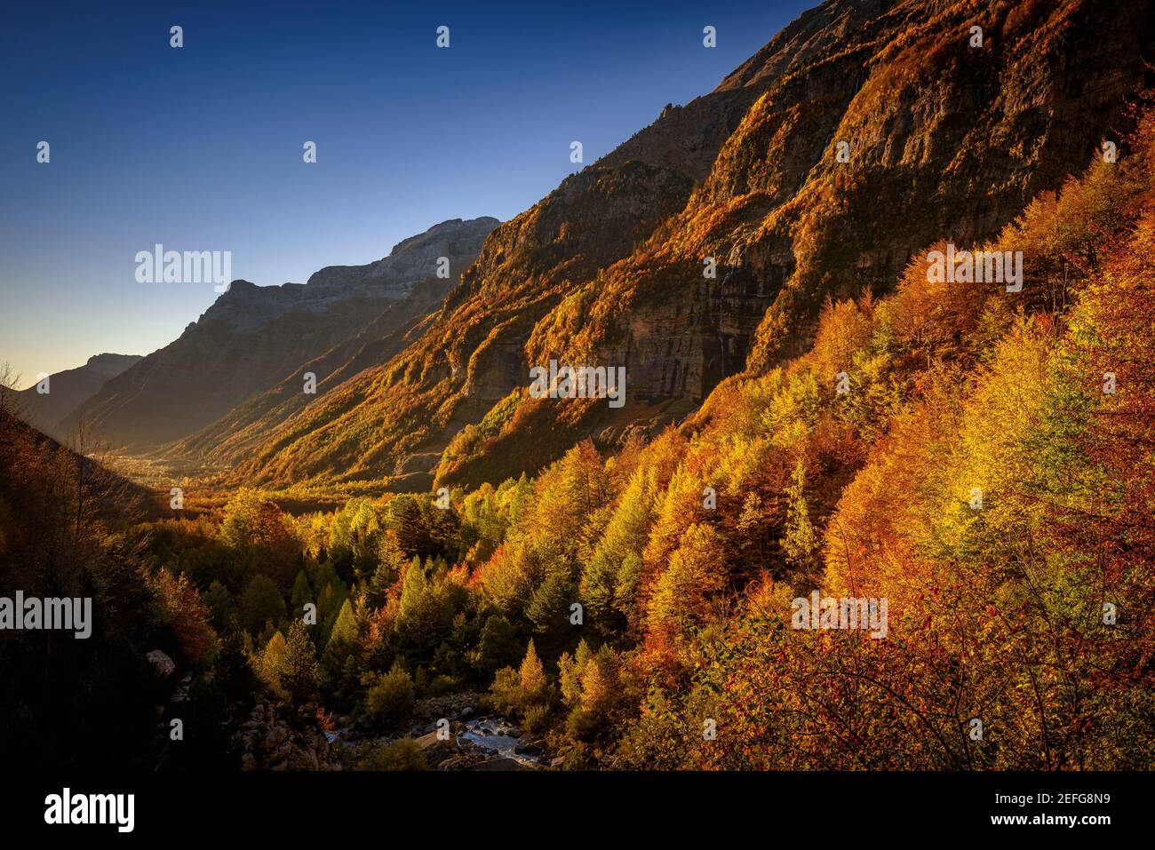 Dia parque nacional del bosque hi-res stock photography and images - Alamy