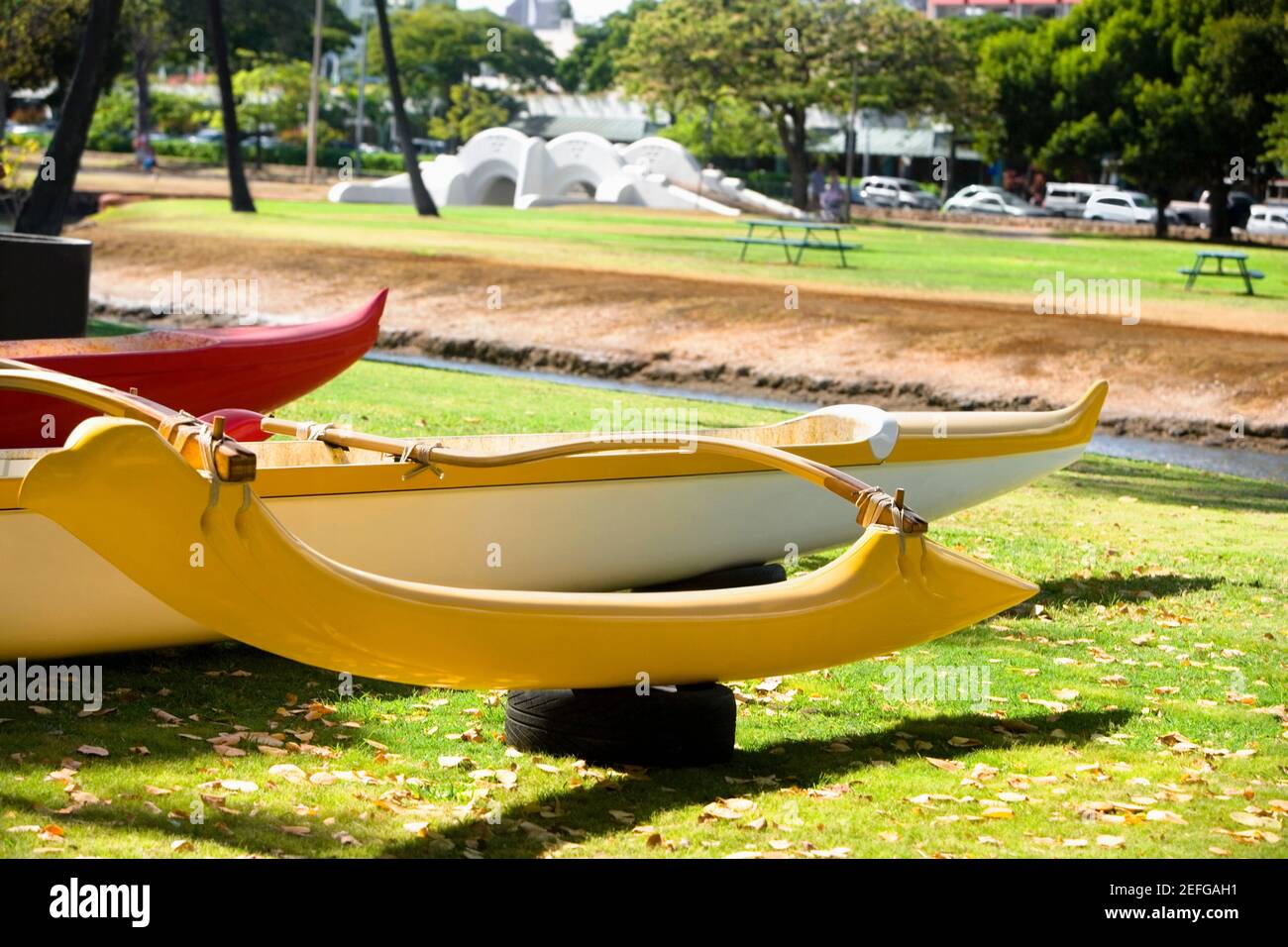 Kayaks in a park, Honolulu, Oahu, Hawaii Islands, USA Stock Photo Alamy