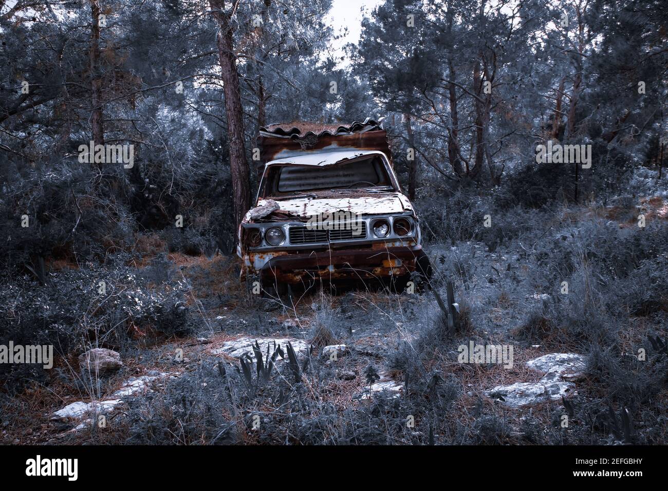Old truck in woods hi-res stock photography and images - Alamy