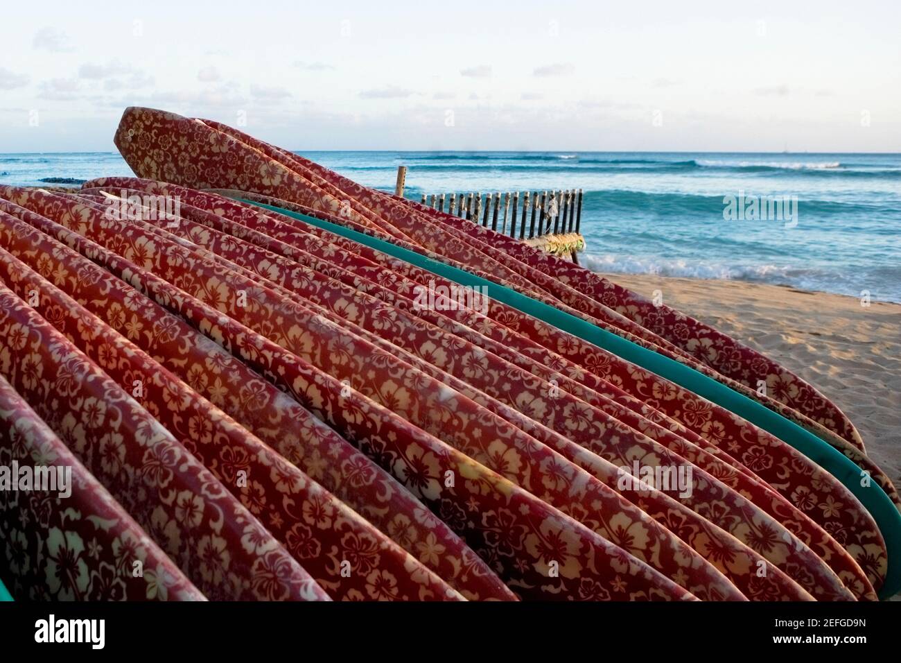 People swimming on surfboards in hi-res stock photography and images ...