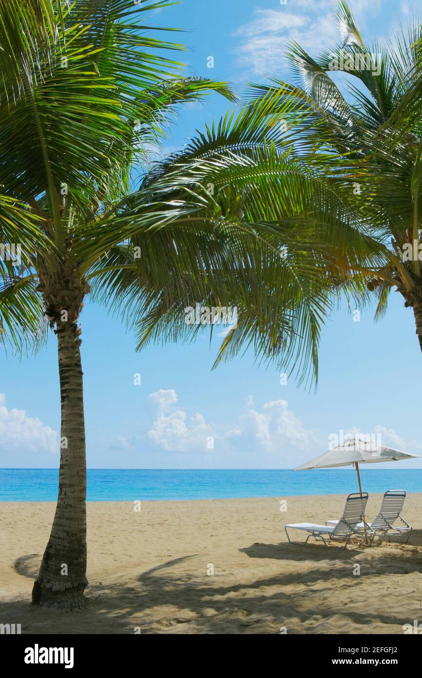 Lounge chairs under patio umbrellas on the beach, Ocean Park, El Condado, San Juan, Puerto Rico Stock Photo