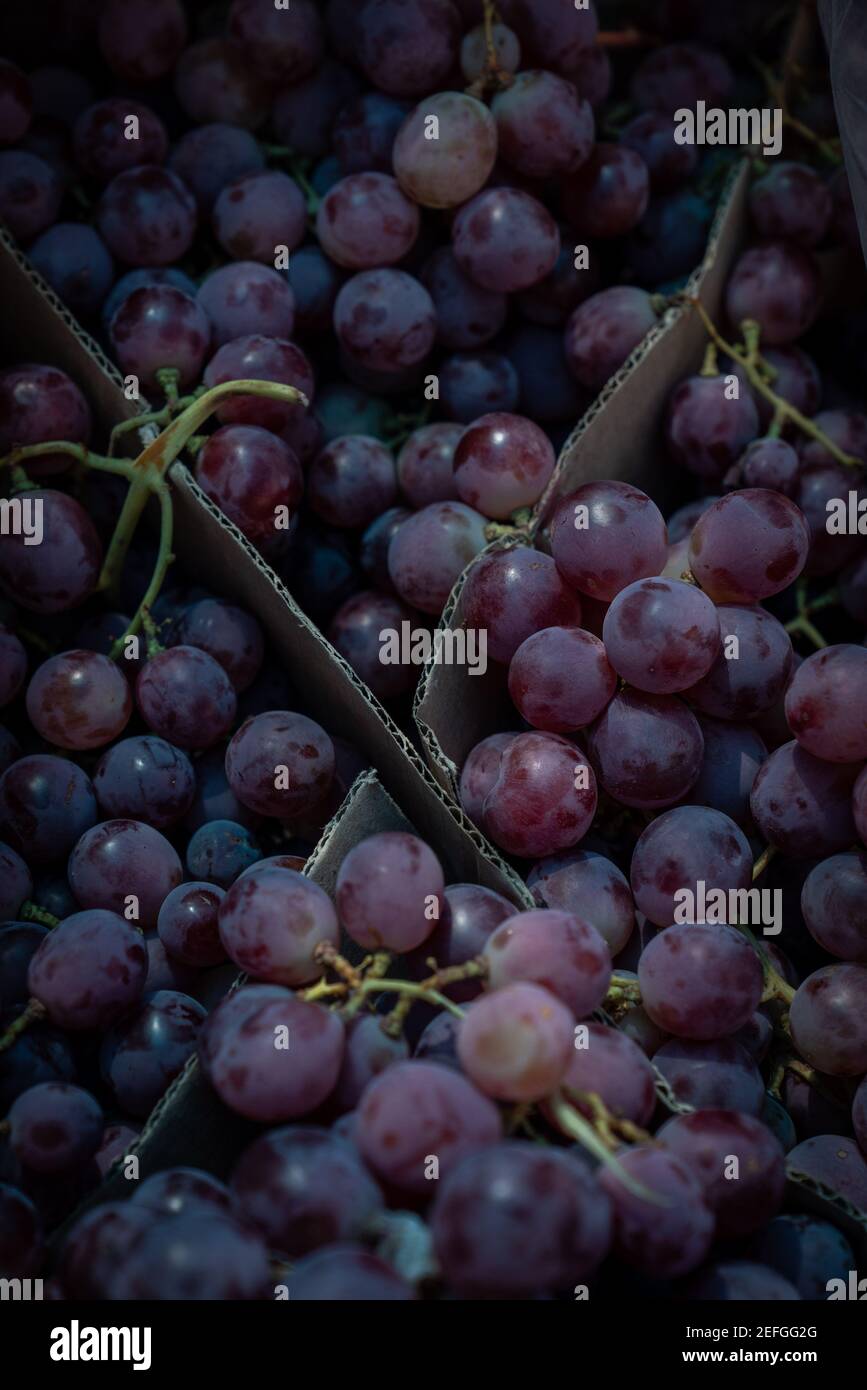 dark colored organic grapes displayed for sale at a street market Stock Photo