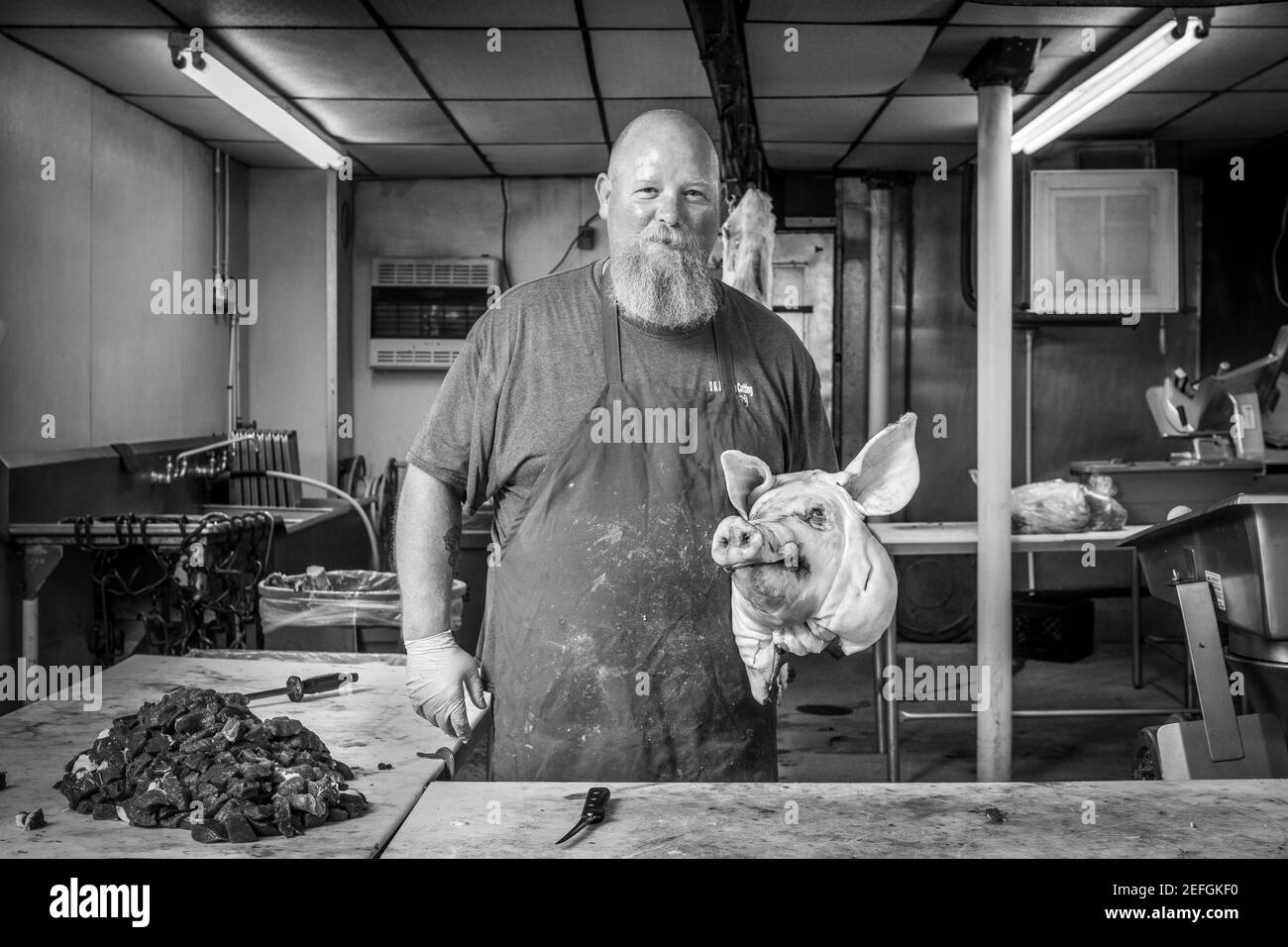 Butcher holding onto pig head at Sudlersville Meat Locker in Maryland