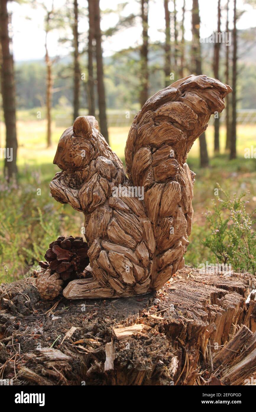 Carved squirrel in the forest hi-res stock photography and images - Alamy