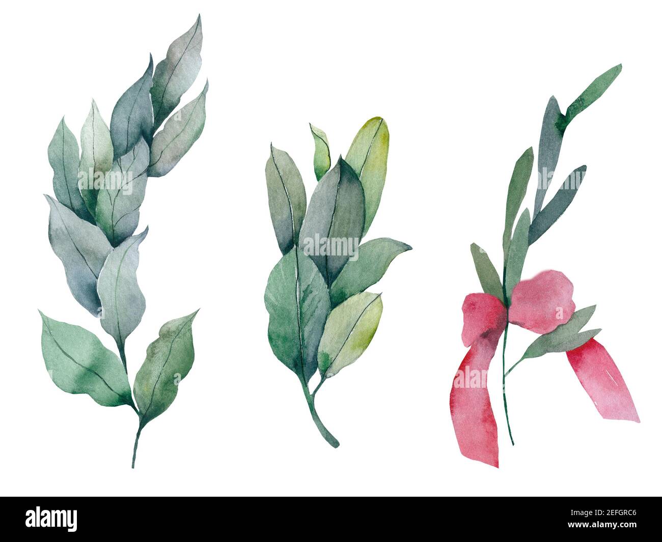 Set of watercolor leaves and brunches. Hand painted branches, leaves ...