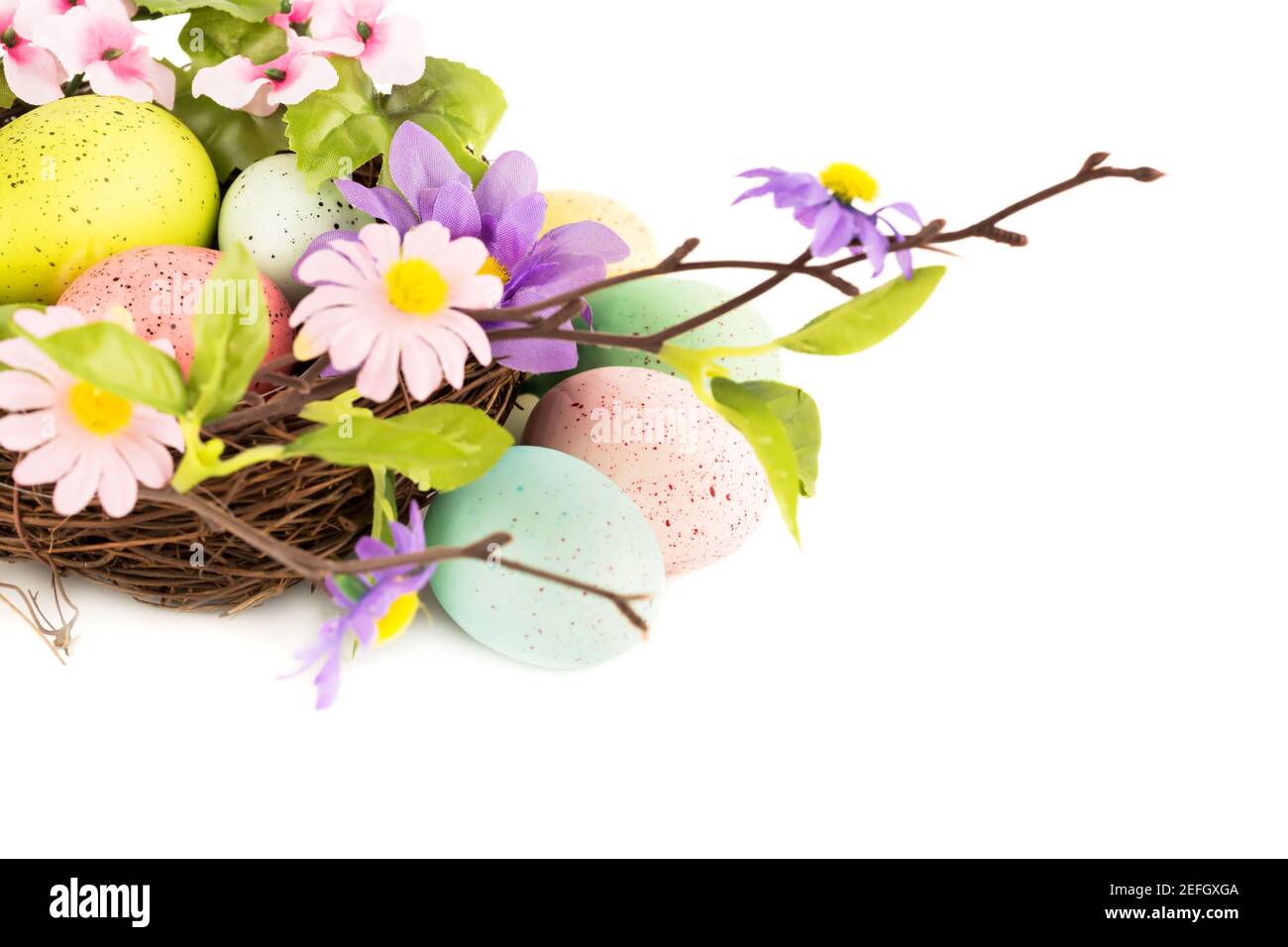 Easter colorful eggs in nest and flowers on white background Stock ...
