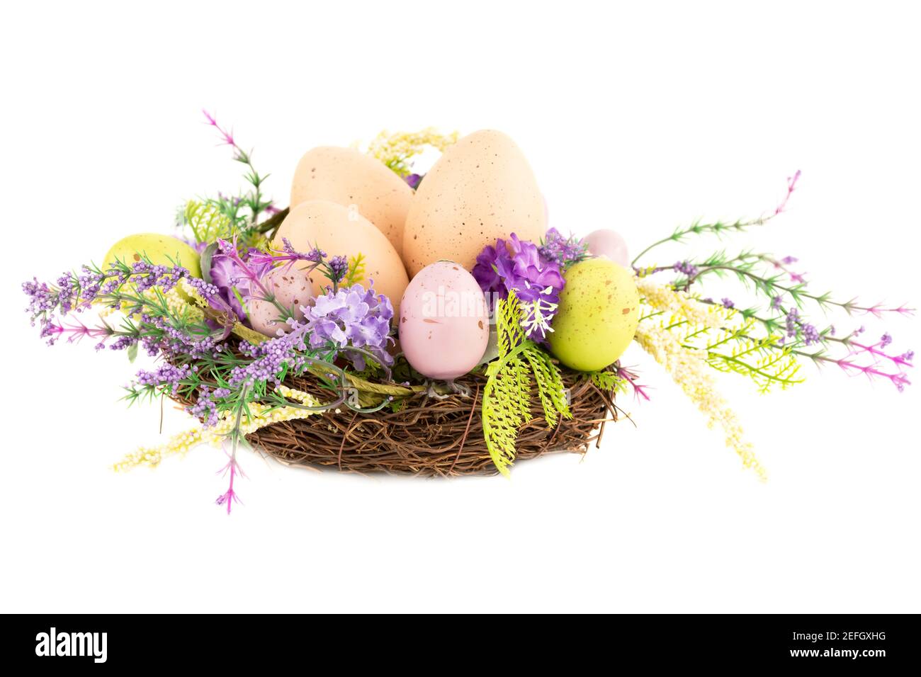Easter colorful eggs in nest and flowers isolated on white background ...
