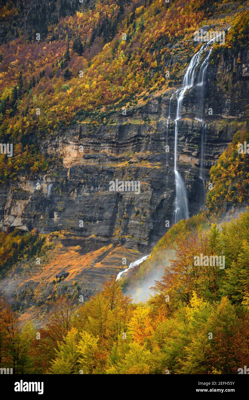 Dia parque nacional del bosque hi-res stock photography and images - Alamy