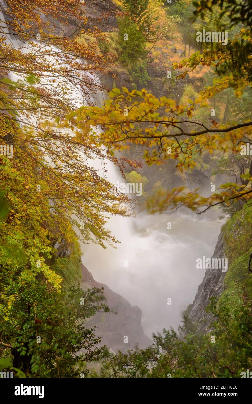 Pineta Valley in autumn after a heavy rain (Ordesa and Monte Perdido NP, Spain) ESP: Valle de Pineta en otoño, después de unas lluvias intensas Stock Photo