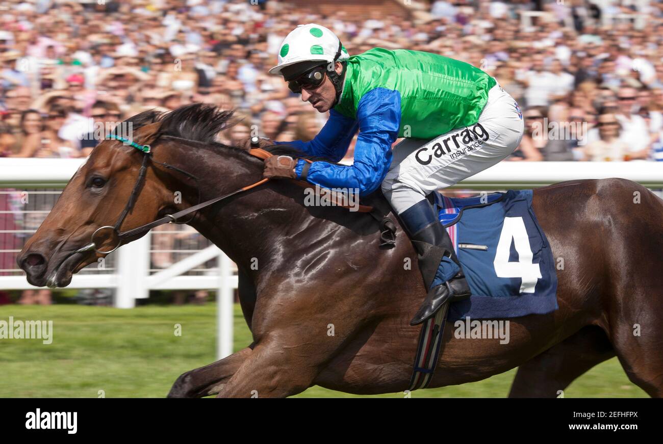 Horse Judge High Resolution Stock Photography And Images Alamy