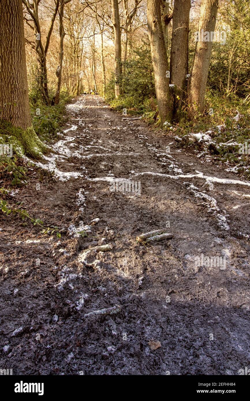 Weak consistency hi-res stock photography and images - Alamy