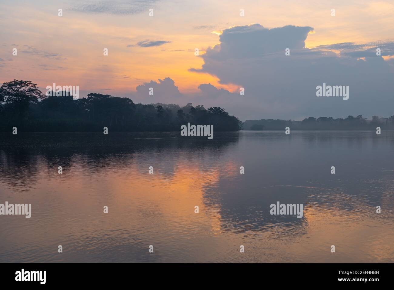 Sunrise landscape in the Amazon rainforest, Cuyabeno wildlife reserve, Ecuador. Stock Photo