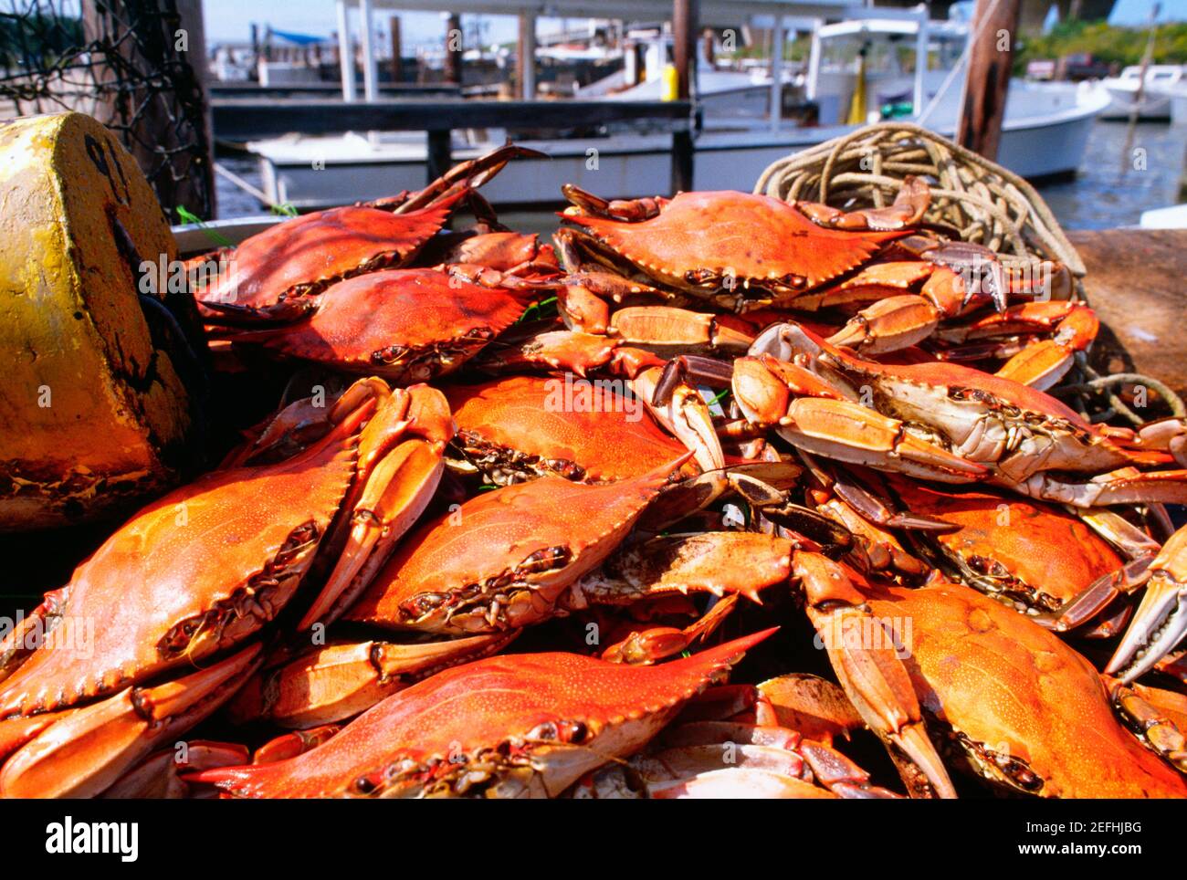 Maryland crab boat hires stock photography and images Alamy