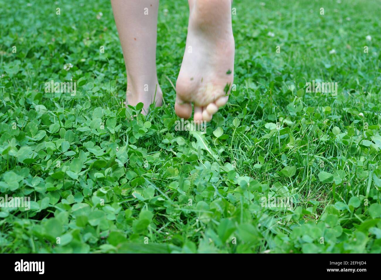 Foots, sole of a child, viewed from the back, walking in the green grass field Stock Photo