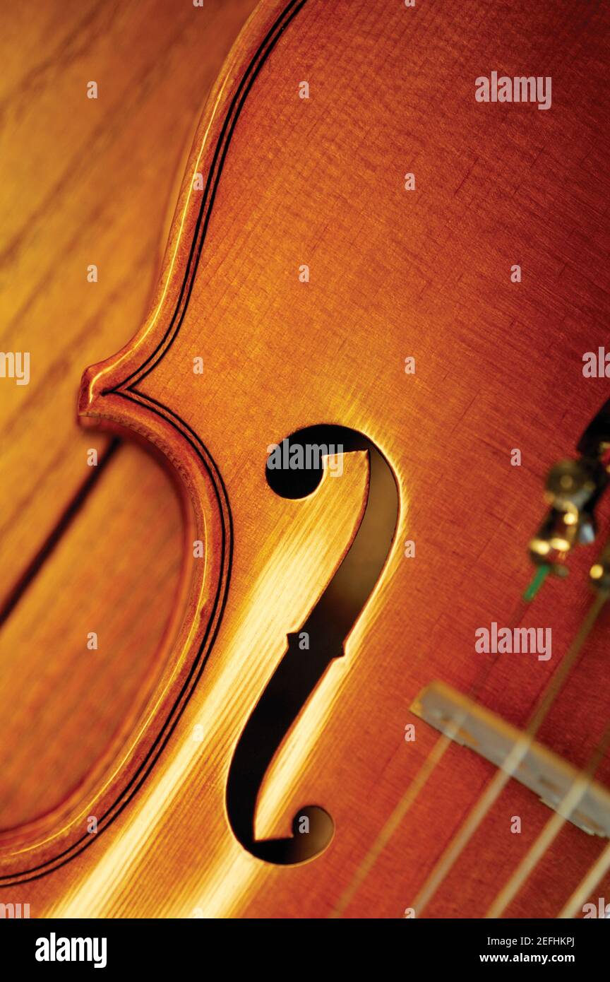 Extreme closeup of violin bridge Stock Photo Alamy