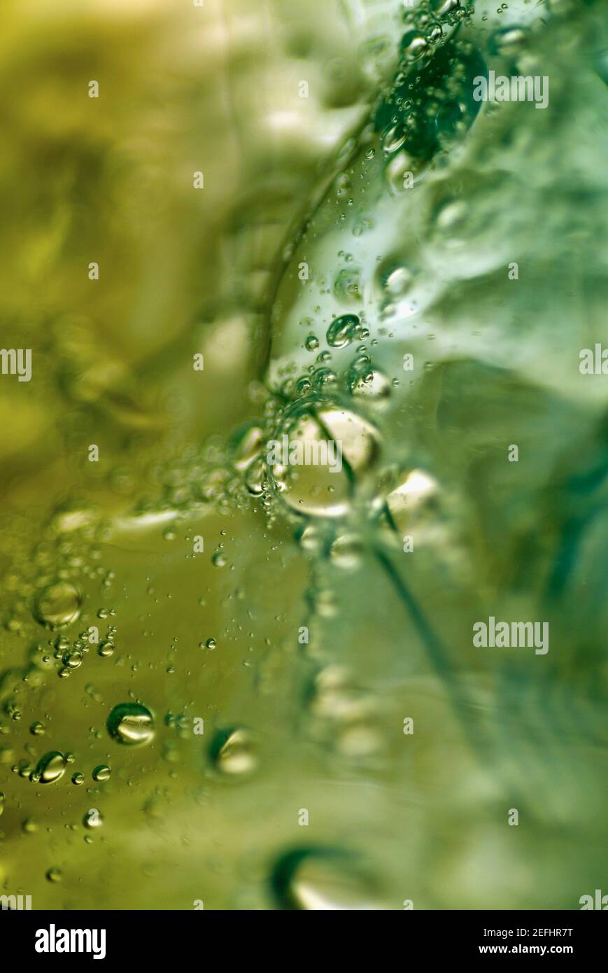 Close-up of water drops on ice cubes Stock Photo