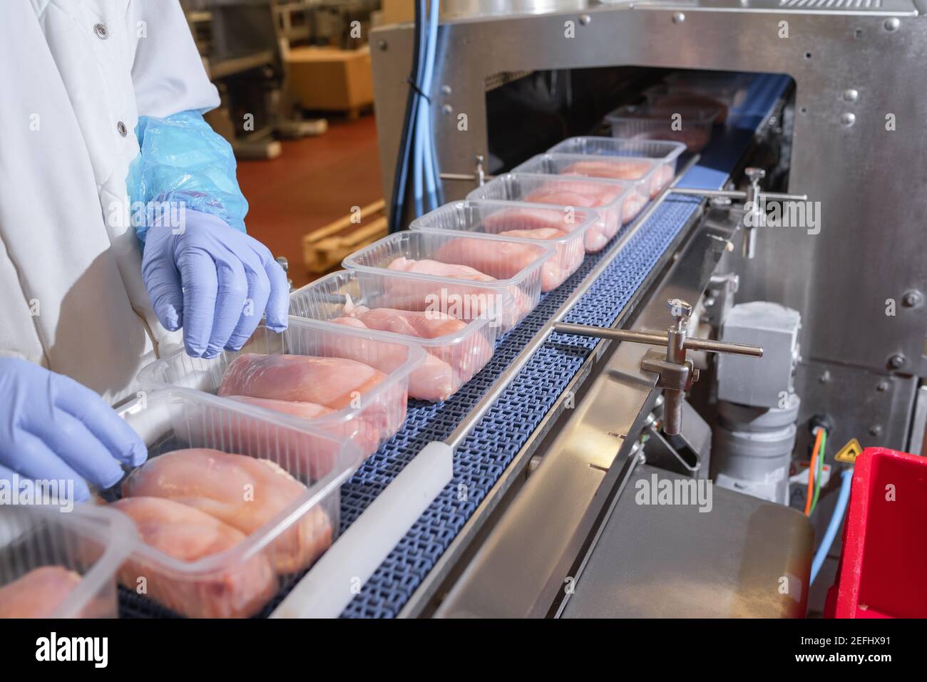 Conveyor Belt Food.Factory for the 