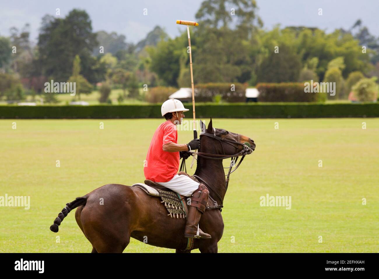 Side profile of a senior man playing polo Stock Photo