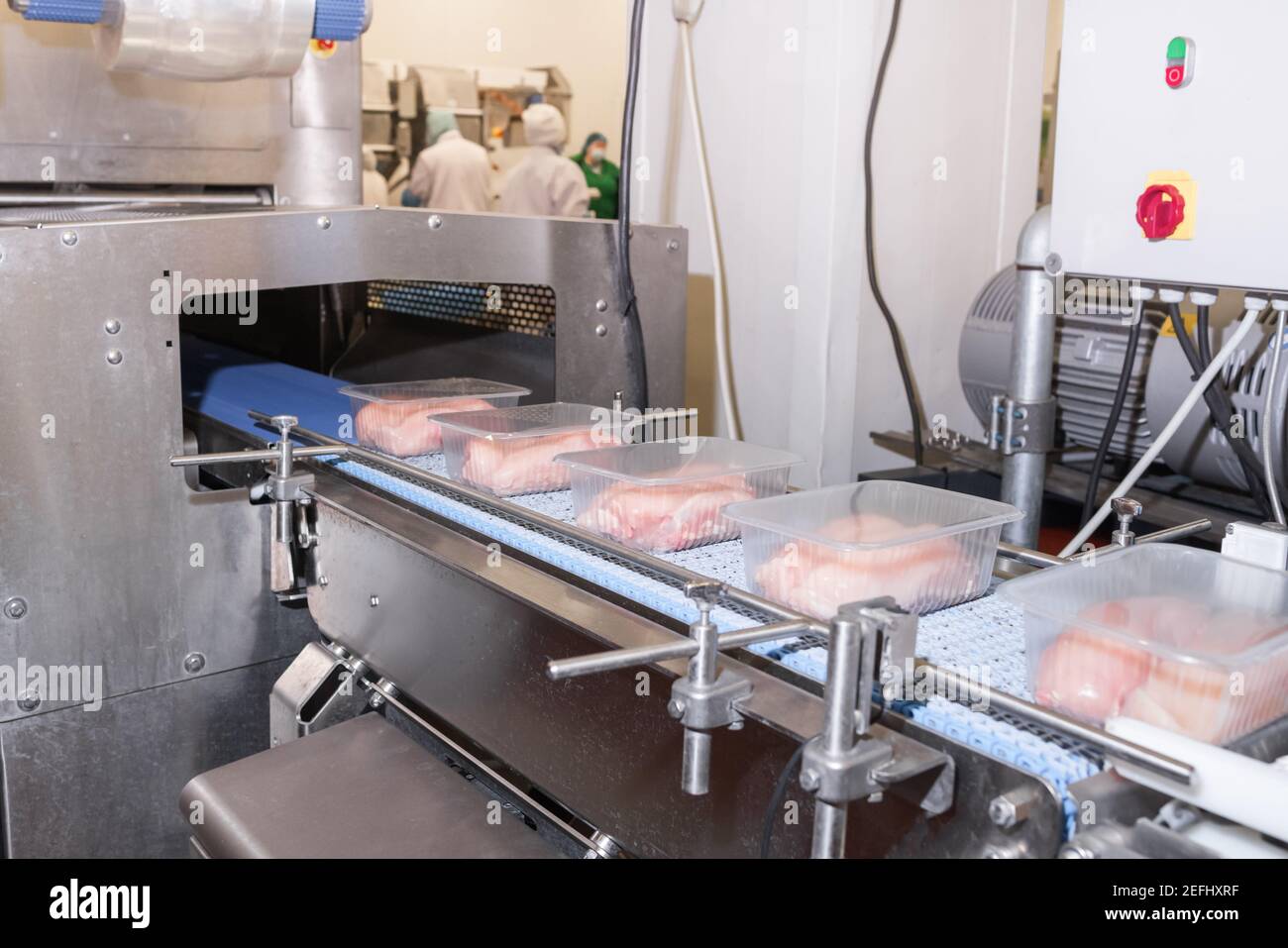 Conveyor Belt Food.Factory for the production of food from meat.Production line with packaging .Food products meat chicken in plastic packaging on the Stock Photo