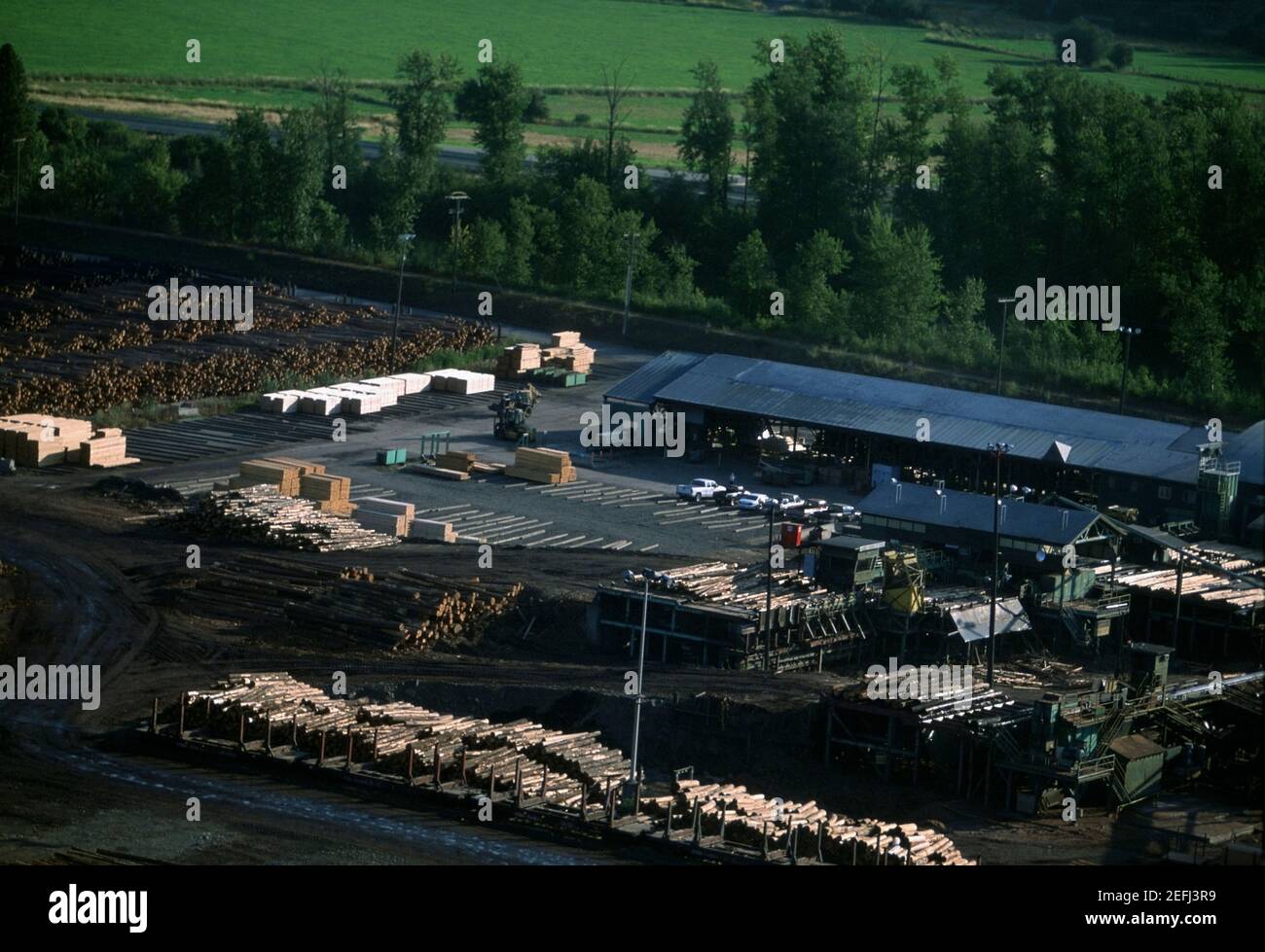 Large commercial sawmill, Idaho, USA Stock Photo Alamy