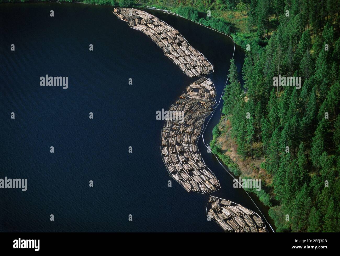 Log rafts flowing to a sawmill, Idaho Stock Photo - Alamy