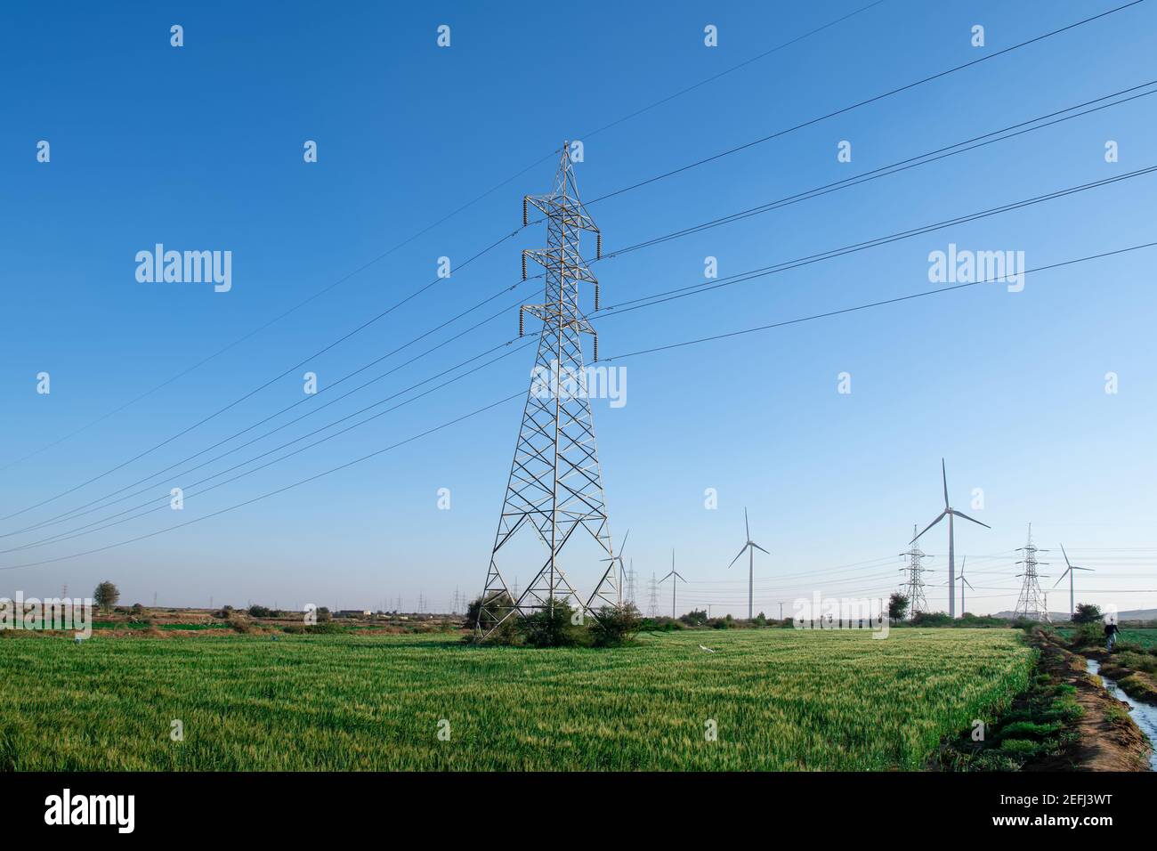 High voltage Electric pole with green rice farm in day time Stock Photo
