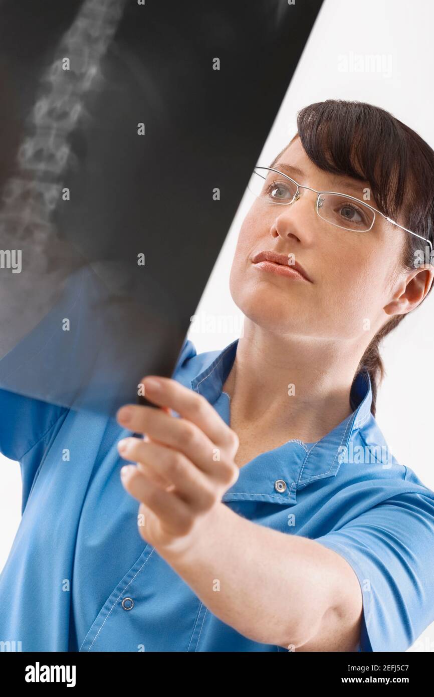 Female surgeon examining an X Ray Stock Photo - Alamy