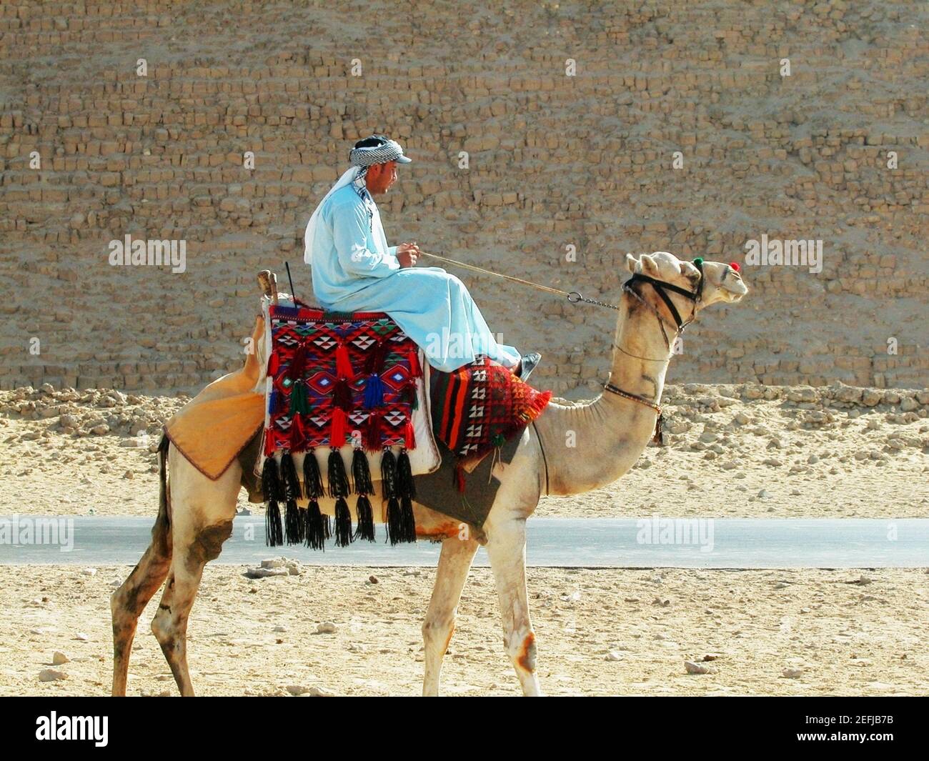 Man sitting on camel hi-res stock photography and images - Alamy