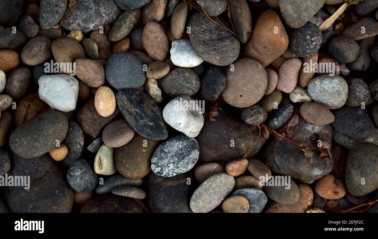 Natural multicolored pebbles stone abstract texture background. Stock Photo