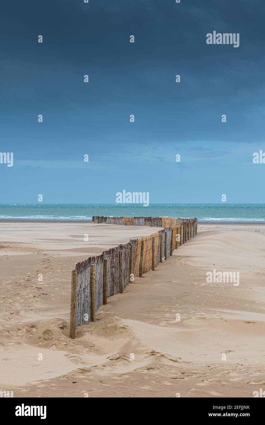 Ganivelle en bois de chataignier retenant le sable sur la plage de Calais, France, Hauts de France, automne Stock Photo