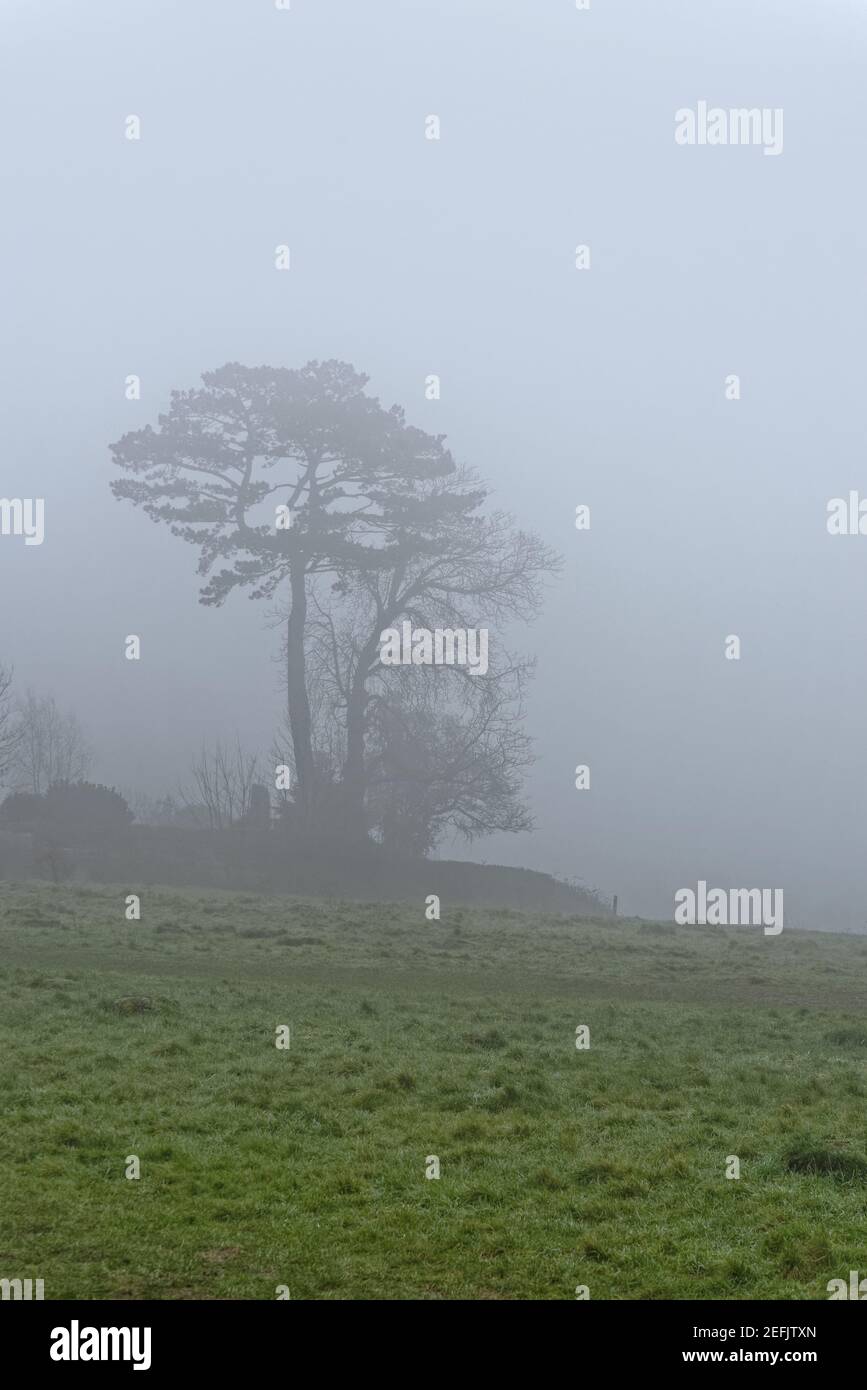 Tall silhouette hi-res stock photography and images - Alamy