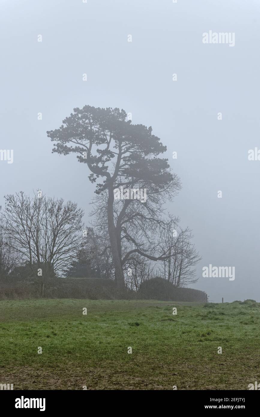 Tall silhouette hi-res stock photography and images - Alamy