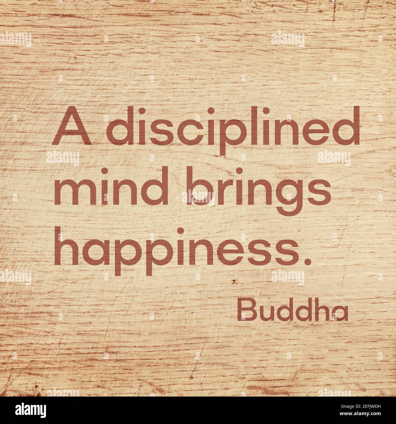 A disciplined mind brings happiness - famous quote of Gautama Buddha printed on grunge wooden board Stock Photo