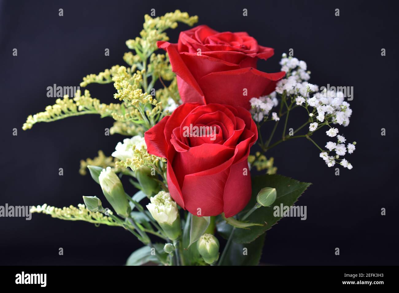 A variety of flowers, buds, and leaves in a colorful indoor arrangement with selective blurring  -01 Stock Photo