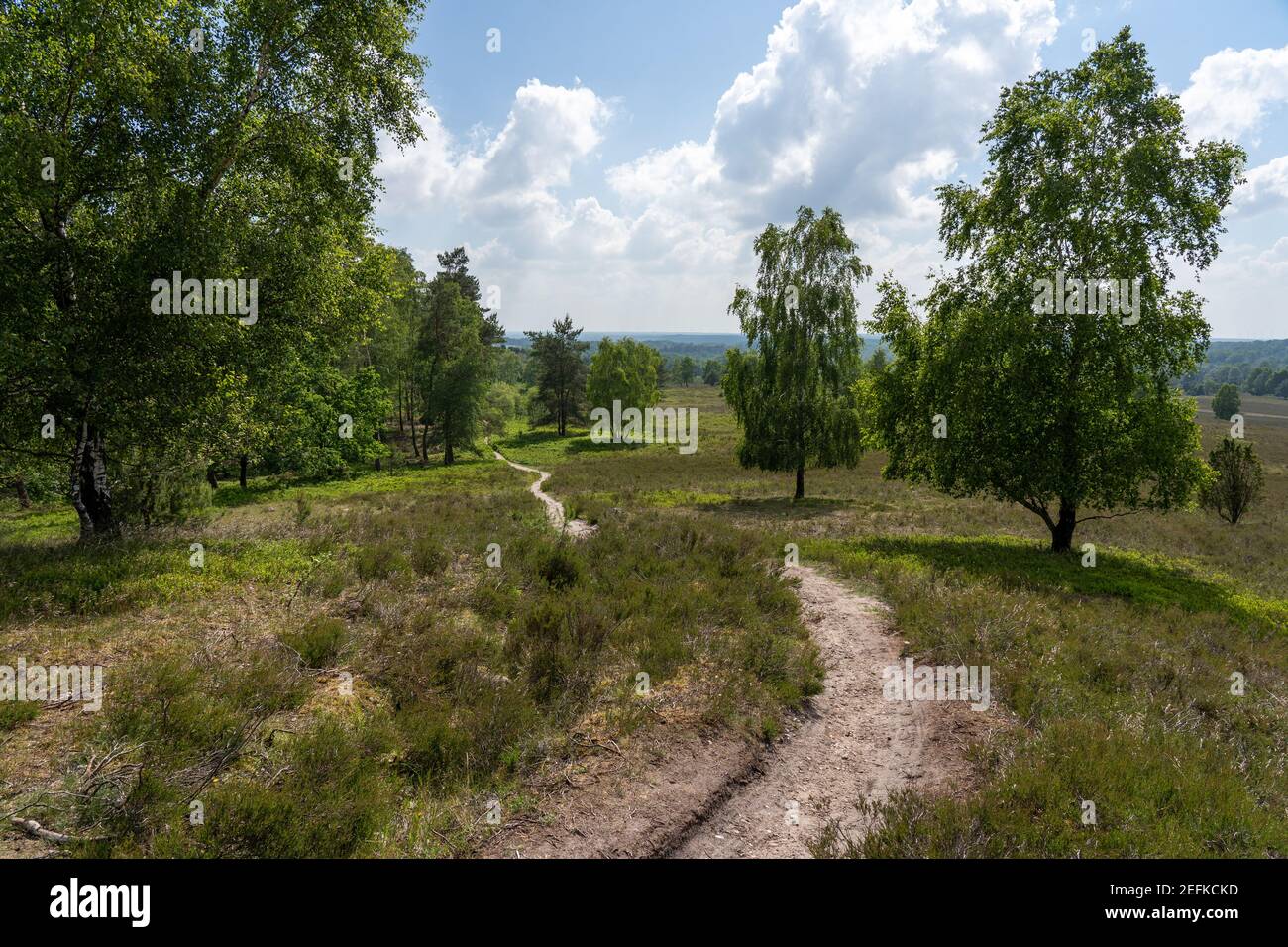 Lueneburger heide sunset hi-res stock photography and images - Alamy