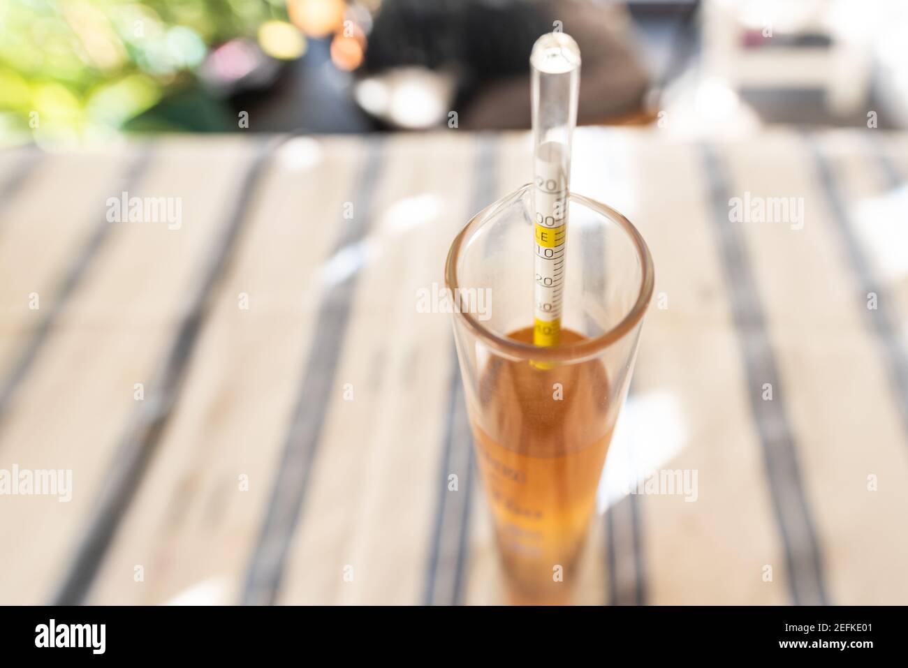 Measurement of alcohol content in beer. One of the most essential equipments in home brewing, hydrometer in a glass of beer. Stock Photo