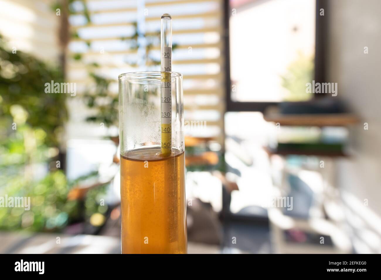 Measurement of alcohol content in beer. One of the most essential equipments in home brewing, hydrometer in a glass of beer. Stock Photo
