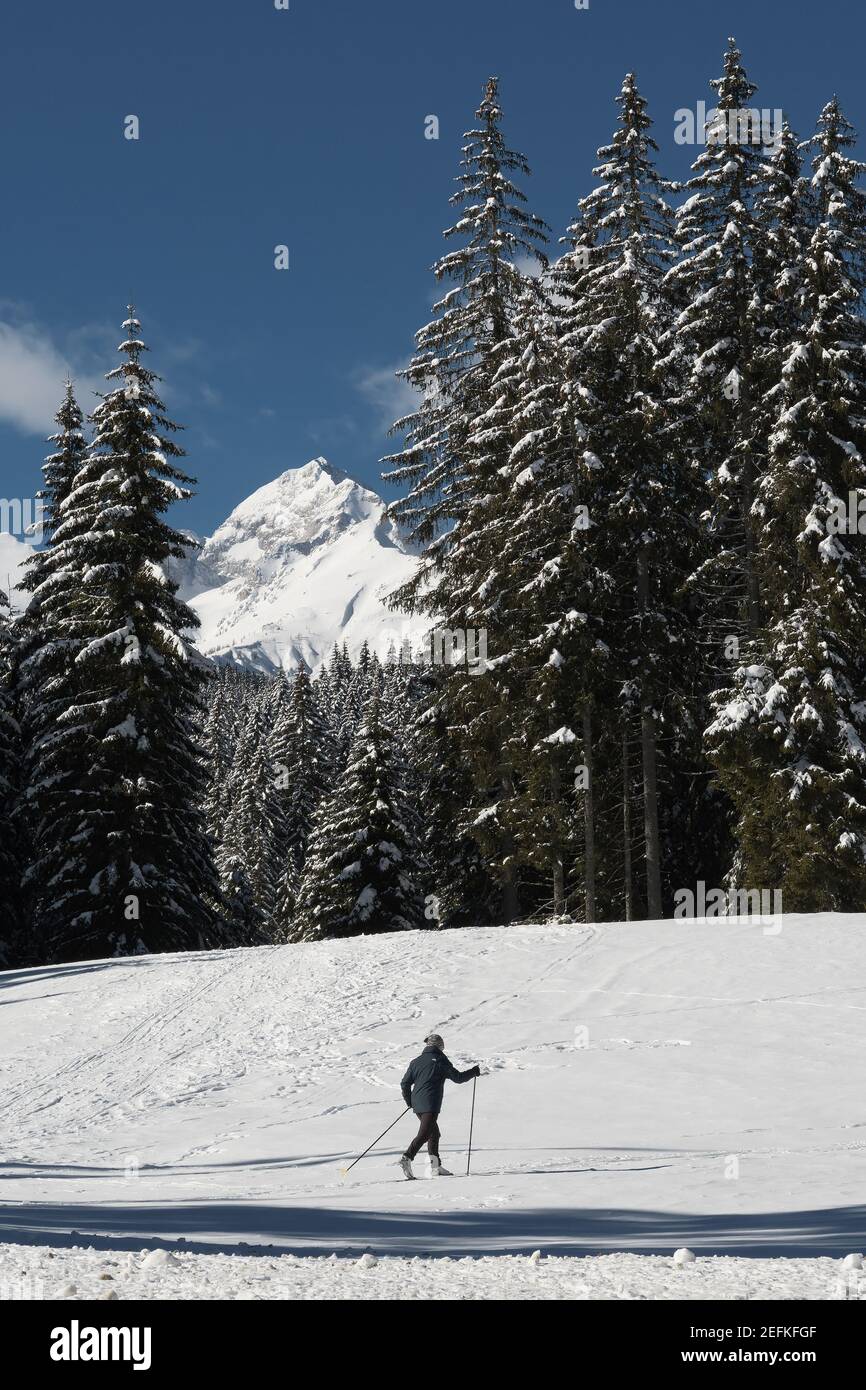 Sunny winter landscape with cross-country skier in foreground and alpine peak in background. Winter sports, skiing, season and weather concepts. Stock Photo