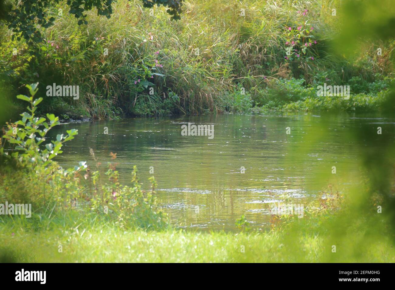 Secret place hi-res stock photography and images - Alamy