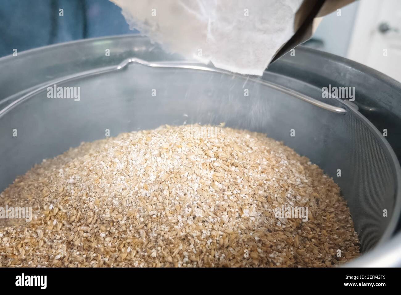Ground barley in a container, grinding barley Stock Photo Alamy