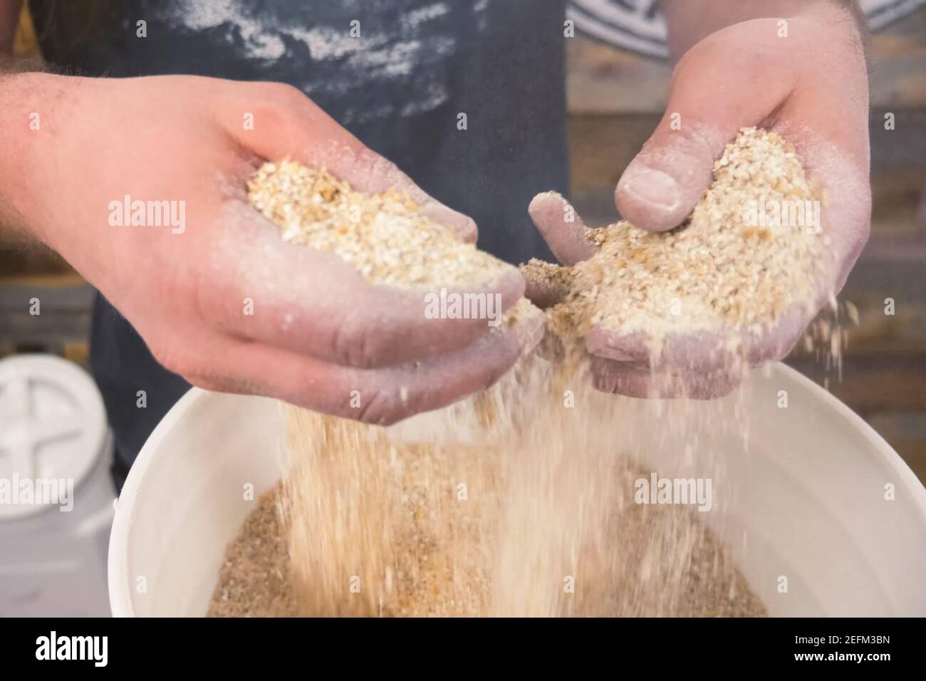 Ground barley in a container, grinding barley Stock Photo Alamy