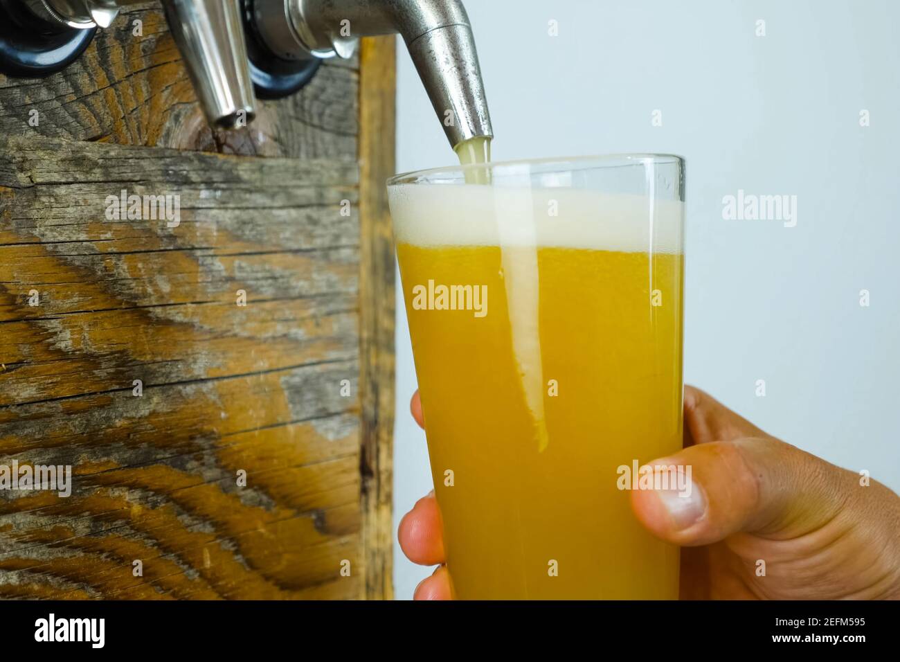 Pouring beer into a glass from the tap at the bar. Beer bottling Stock