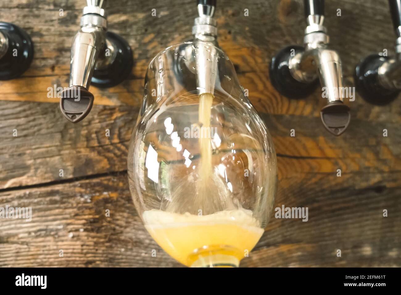 Pouring beer into a glass from the tap at the bar. Beer bottling Stock