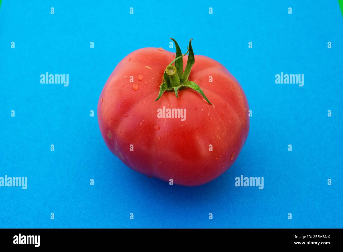 Berner Rose Tomato (Solanum lycopersicum) Stock Photo